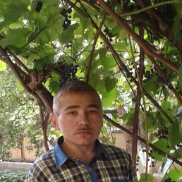 �������, ������-��-����, 38 ���