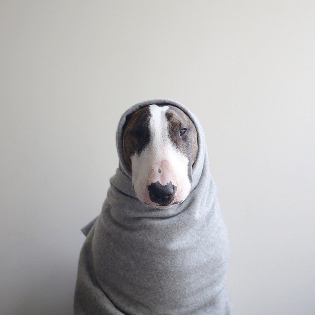 Всем отличного настроения, одевайтесь теплее