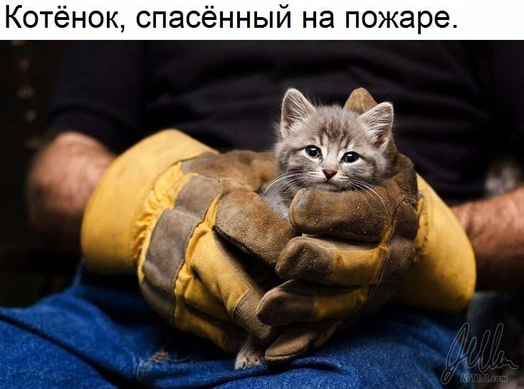       - 14  2017  14:58