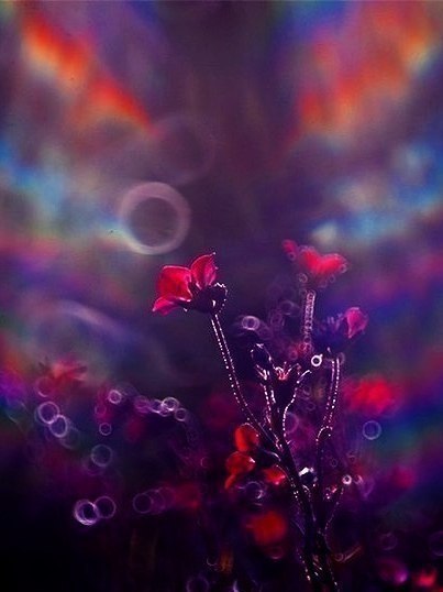 Art & Fun - 7  2017  18:09 - 6