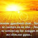 ���� ������, ����, 33 ���� - ��������� 24 ������ 2017 � ������ ������ ��������