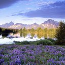 ���� �����, ��������, 50 ��� - ��������� 8 ������ 2017 � ������ ������ ��������