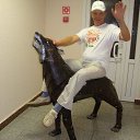 ���� ���,���, ������-��� - ��������� 5 ������ 2017 � ������ ���� ����������