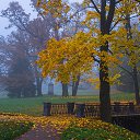 ���� �������, �����-���������, 57 ��� - ��������� 23 ��� 2017 � ������ ������ ��������