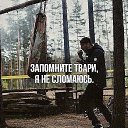 ���� ���������, ����������, 42 ���� - ��������� 17 ������� 2017 � ������ ���� ����������