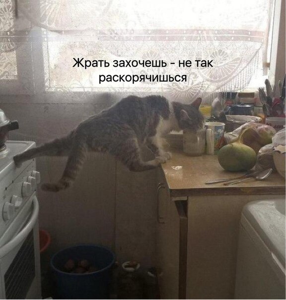    - 23  2017  09:12