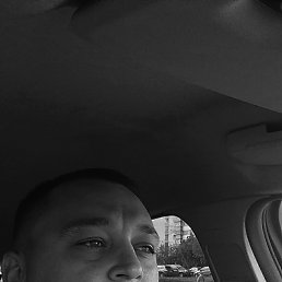 Soko, ������, 40 ���