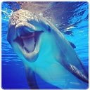 ���� �������, ��������, 55 ��� - ��������� 19 �������� 2017 � ������ ������ ��������