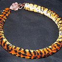 ���� �����, ����������� - ��������� 12 ������� 2017