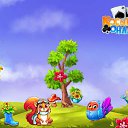  Vugar Vugar, , 56  -  17  2017    -
