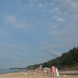 �������, ����, 43 ����