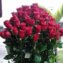 ���� ����, ��������, 54 ���� - ��������� 29 ��� 2017 � ������ ���� ����������