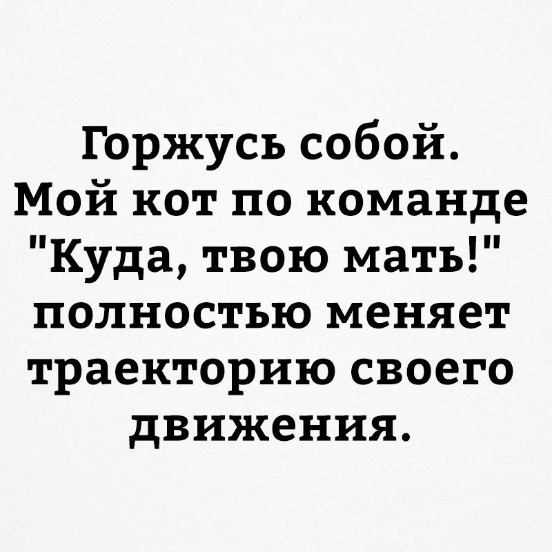   - 7  2017  22:31