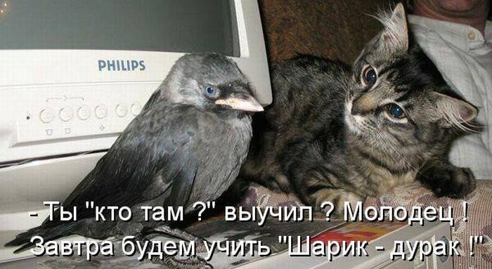    .     ))) - 40