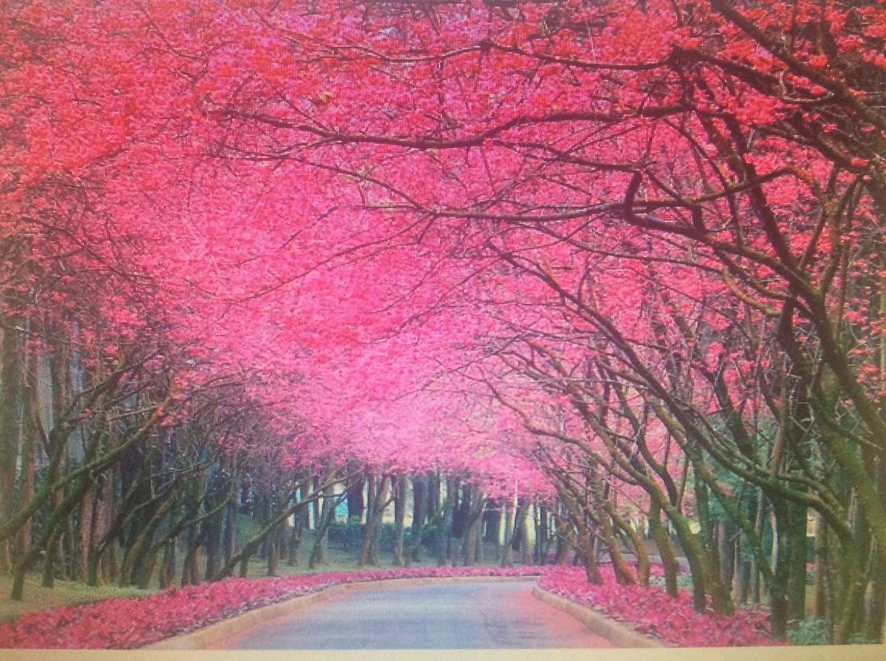   ,       ,        ... - 2
