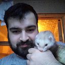 ���� �����, ���������� - ��������� 2 ���� 2017 � ������ ���� ����������