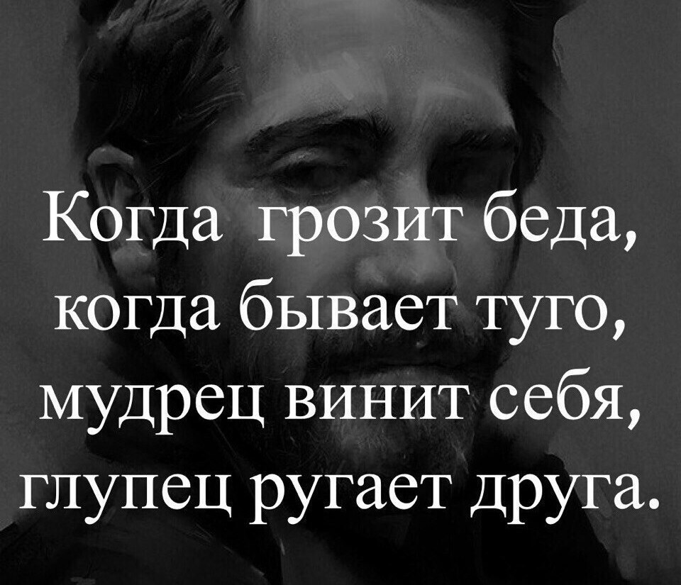 IQ Blog: , , ,  - 19  2017  23:04