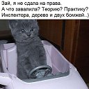 ���� ***��������***, ����� - ��������� 17 �������� 2017 � ������ ����