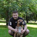 ���� ����, �����������, 52 ���� - ��������� 2 ��� 2017