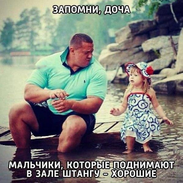 SportFeed - 8  2017  13:44
