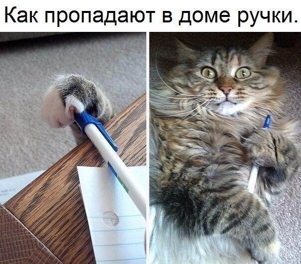   - 29  2017  20:38