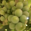 ��� �������� �� ������� ���� ����������