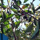 ���� ������, ��������, 55 ��� - ��������� 26 ���� 2017 � ������ ������ ��������