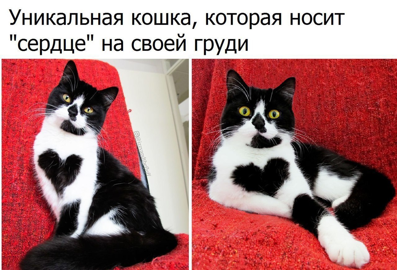   - 19  2017  15:55