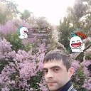 ���� ���������, ������, 38 ��� - ��������� 20 ���� 2017 � ������ ���� ����������