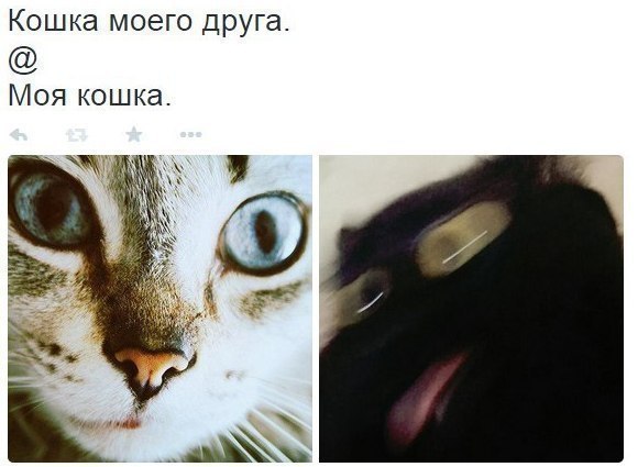   - 17  2017  03:32