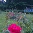 ���� ��������, ������ - ��������� 9 ���� 2017 � ������ ���� ����������