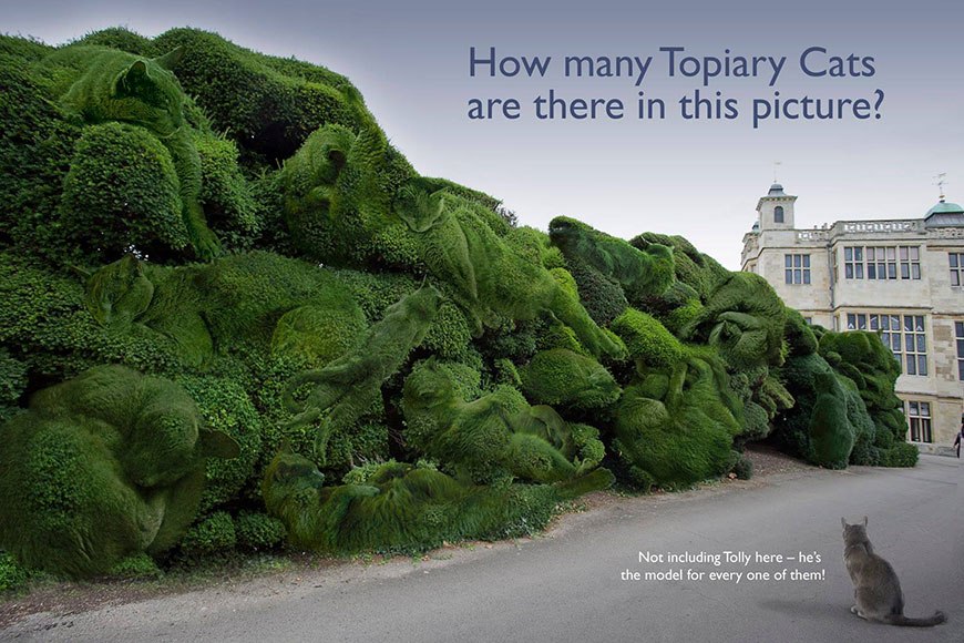 ))).Topiary Cat:     -       ... - 9