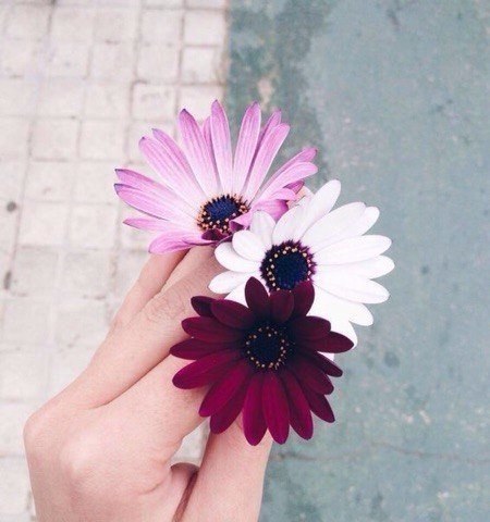 -    . #
