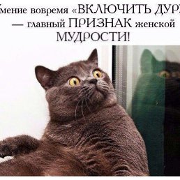 �����, ������, 48 ���