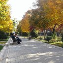 ���� ��������, ����� - ��������� 17 ������ 2017 � ������ �������� ������ 2016�