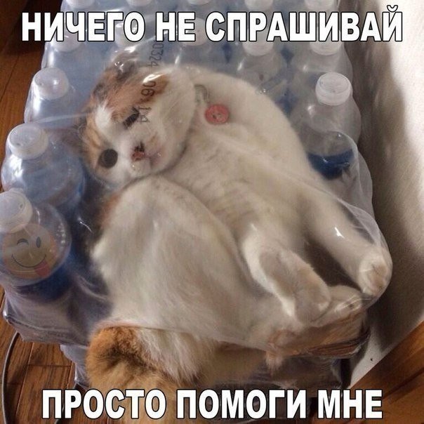  - ,  - 1  2017  05:27
