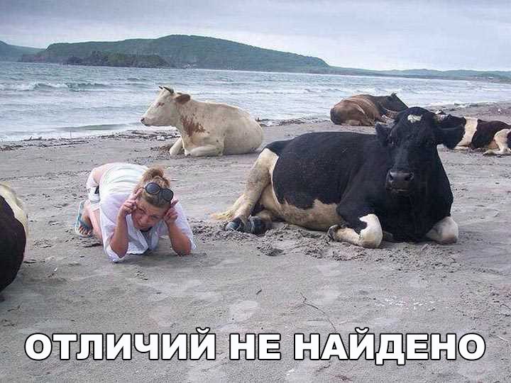 About different ! - 11  2017  21:32