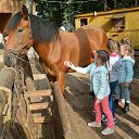 ���� ����������, ������� ��������, 63 ���� - ��������� 27 ������� 2017 � ������ ���������� �������� ���������