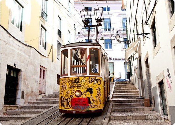  :  ,   ,     ,  , ... - 4