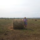 ���� ����������, ���, 47 ��� - ��������� 3 ������� 2017 � ������ ���� ����������