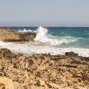  , , 49  -  29  2017   . -.2017