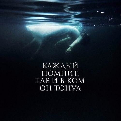   - 8  2017  18:31 - 2