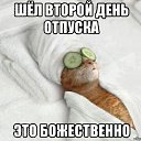 ���� ��������, ���, 53 ���� - ��������� 20 ���� 2017 � ������ ������ ��������
