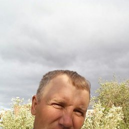, 43 , 