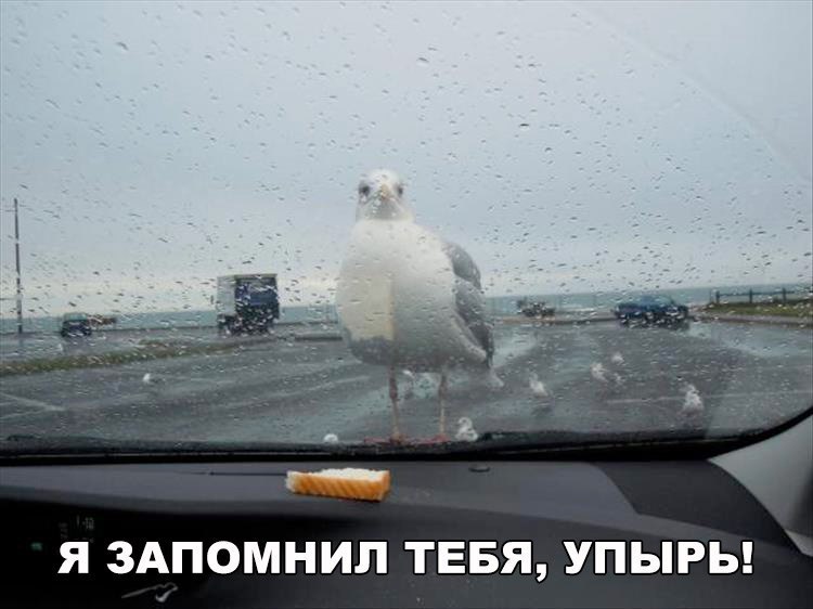  - 10  2017  13:55