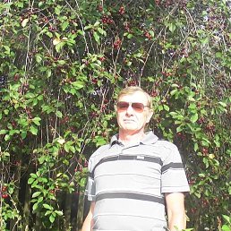 ���� ��������, ������, 69 ��� - ��������� 15 ������ 2017