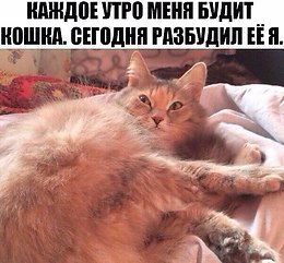 Comedy Club - 29  2017  07:20