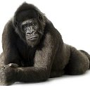 ���� Iogann, ������ - ��������� 10 ��� 2017 � ������ ���������� ������