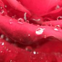 ���� �������, ������, 48 ��� - ��������� 8 ���� 2017 � ������ ������ ��������