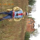 ���� �����, �����������-��-�����, 49 ��� - ��������� 23 ���� 2017 � ������ ���� ����������